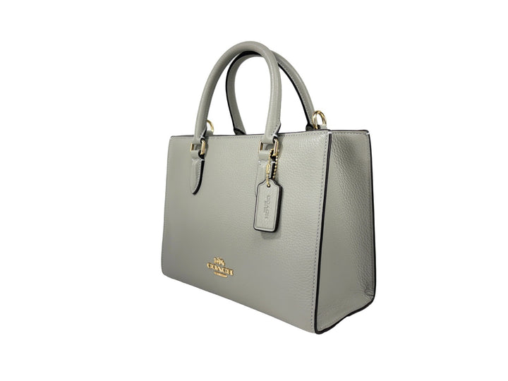 Coach Maggie Small Leather Crossbody Tote Bag COACH