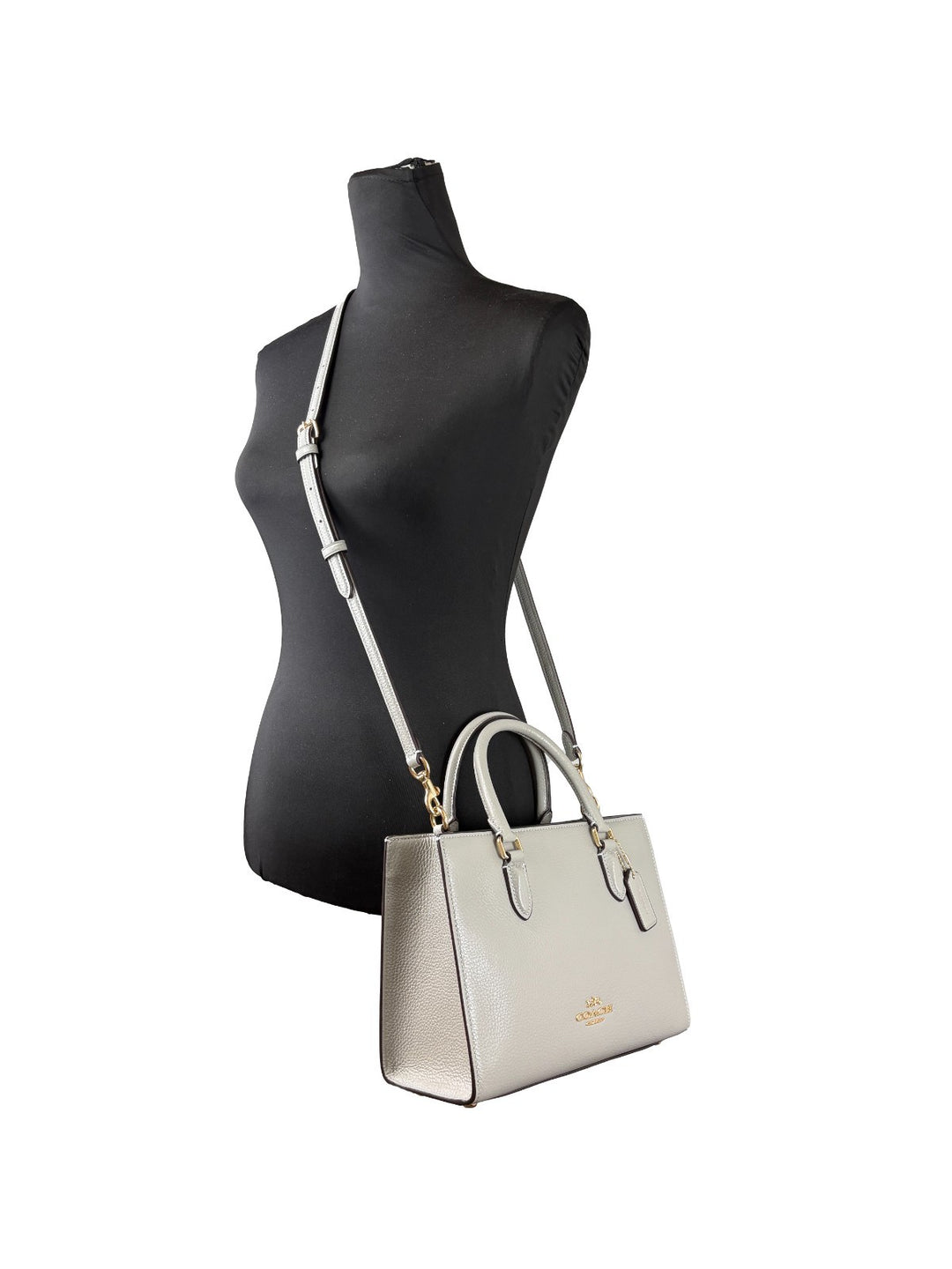 Coach Maggie Small Leather Crossbody Tote Bag COACH