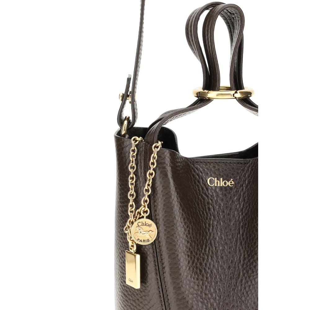 Brown Calf Leather Bos Taurus Shoulder Bag Chloé