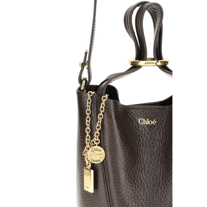 Brown Calf Leather Bos Taurus Shoulder Bag Chloé