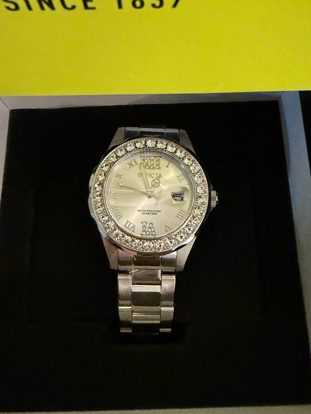 Invicta Pro Diver 15251- stainless steel NEW the layla edit.
