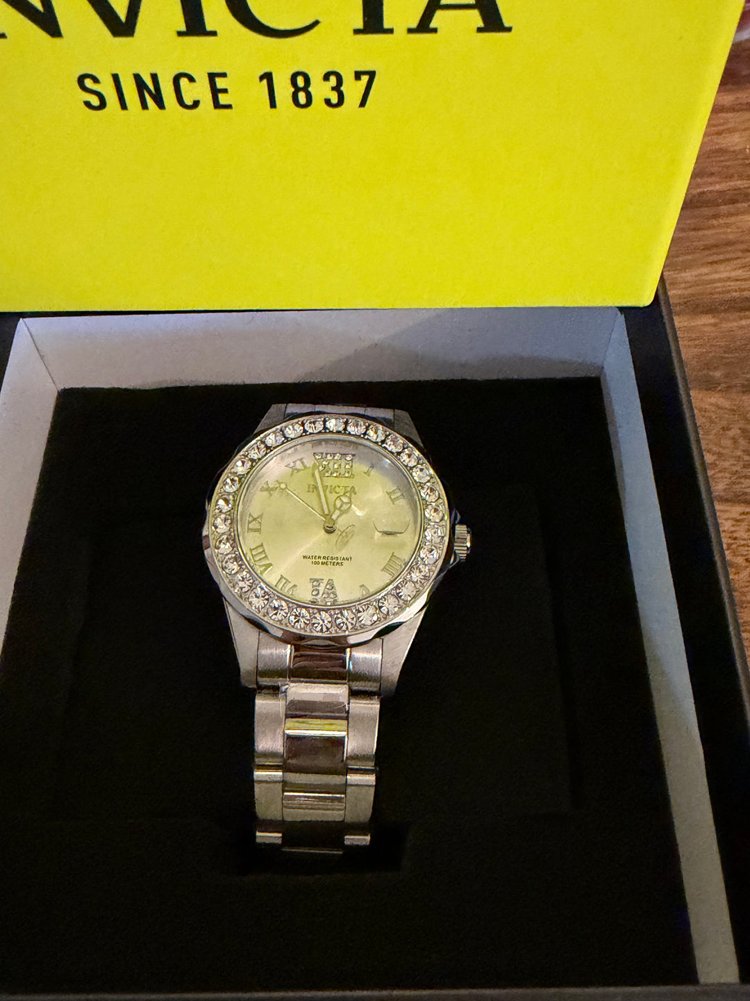 Invicta Pro Diver 15251- stainless steel NEW the layla edit.
